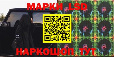 гидра Будённовск