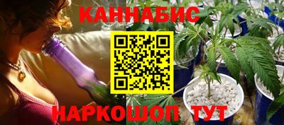гидра Будённовск