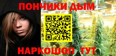 гидра Будённовск