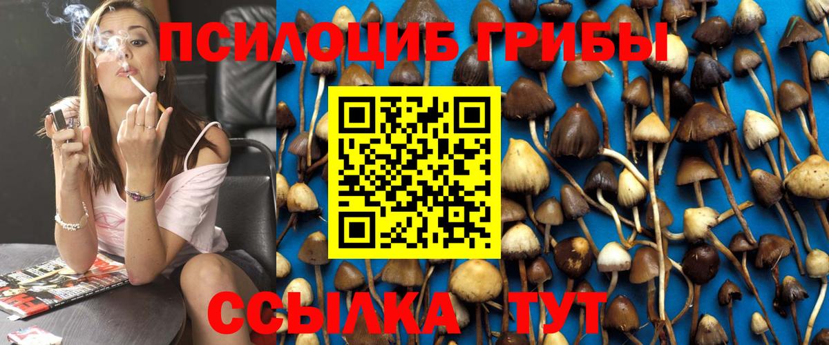 Галлюциногенные грибы Psilocybe  сколько стоит  Комсомольск-на-Амуре  Вход с VPN 